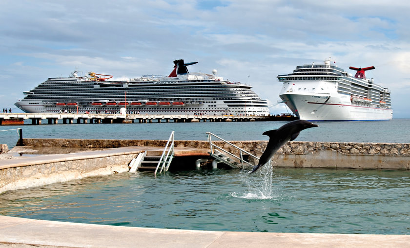Dolfijn in de zee naast Carnival Legend